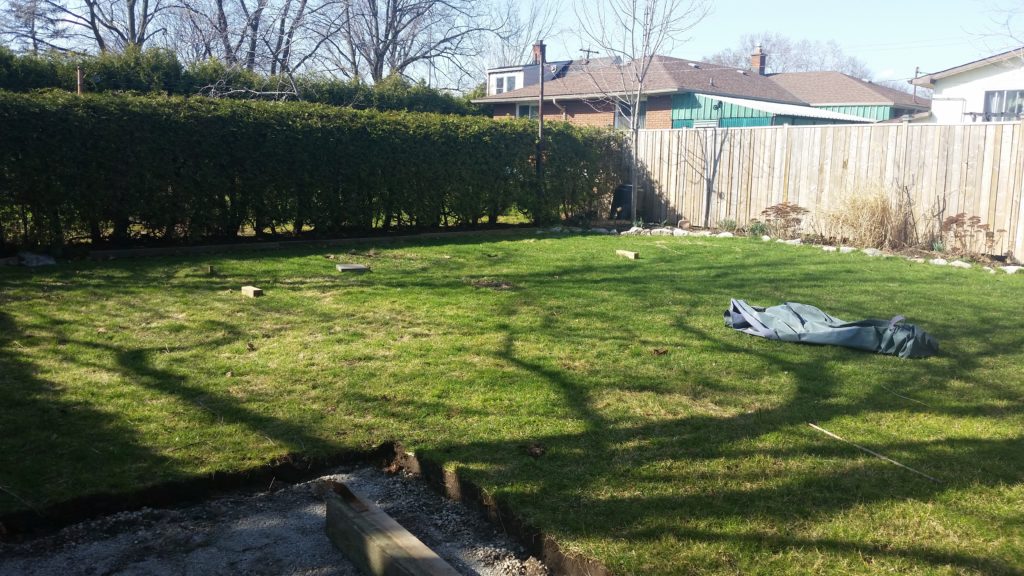 Here is our backyard once we removed the swing set