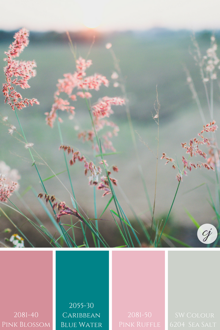 Sherwin Williams Sea Salt with Benjamin Moore's Pink Blossom; Caribbean Blue Water & Pink Ruffle