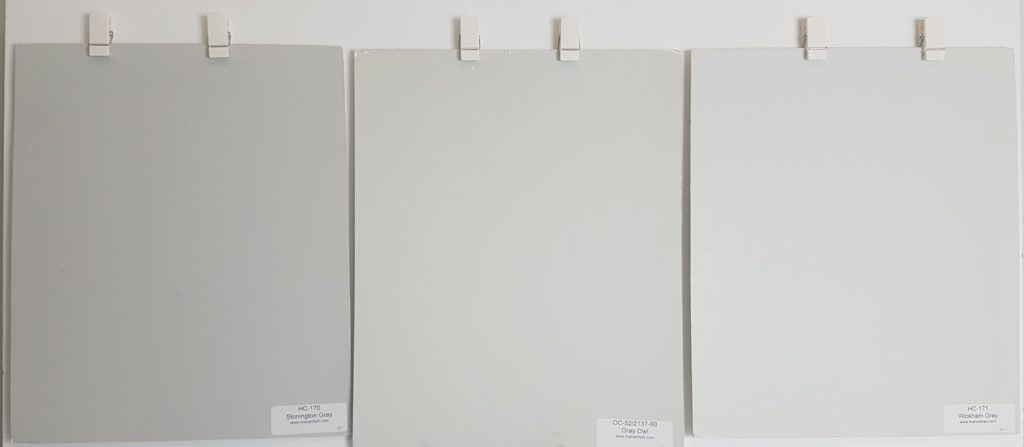 Colour comparisons to Gray Owl