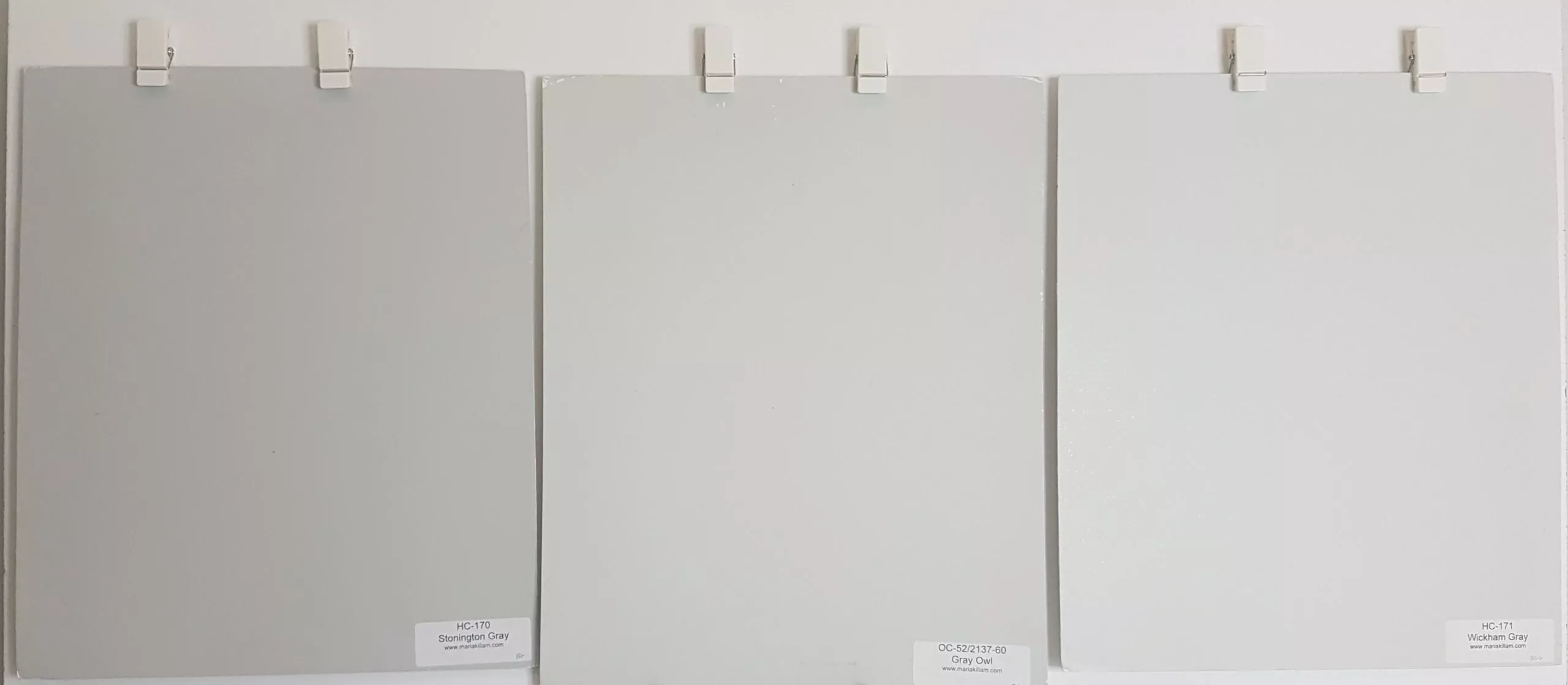 Colour comparisons to Gray Owl