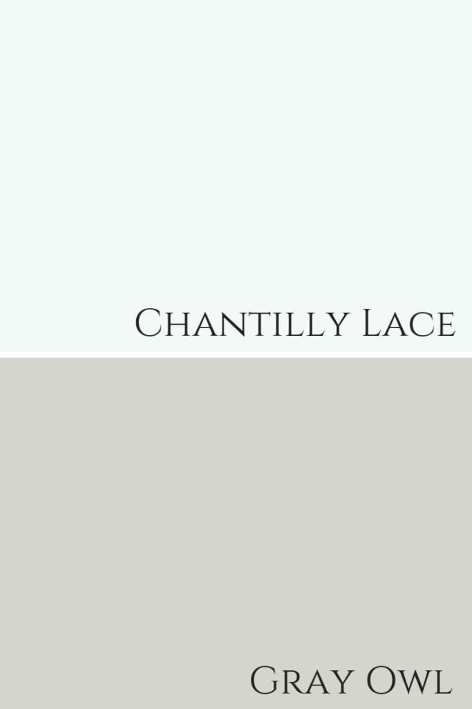 Chantilly Lace Gray Owl Comparison