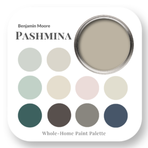 Pashmina Benjamin Moore