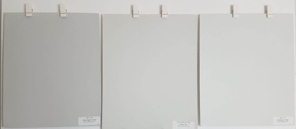 Colour comparisons to Gray Owl