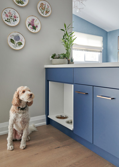 dog-bowls-in-kitchen-blue-cabinets-pull-out-dog-food