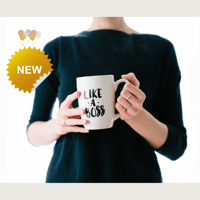 Claire Jefford New Interior Design Boss Bundle