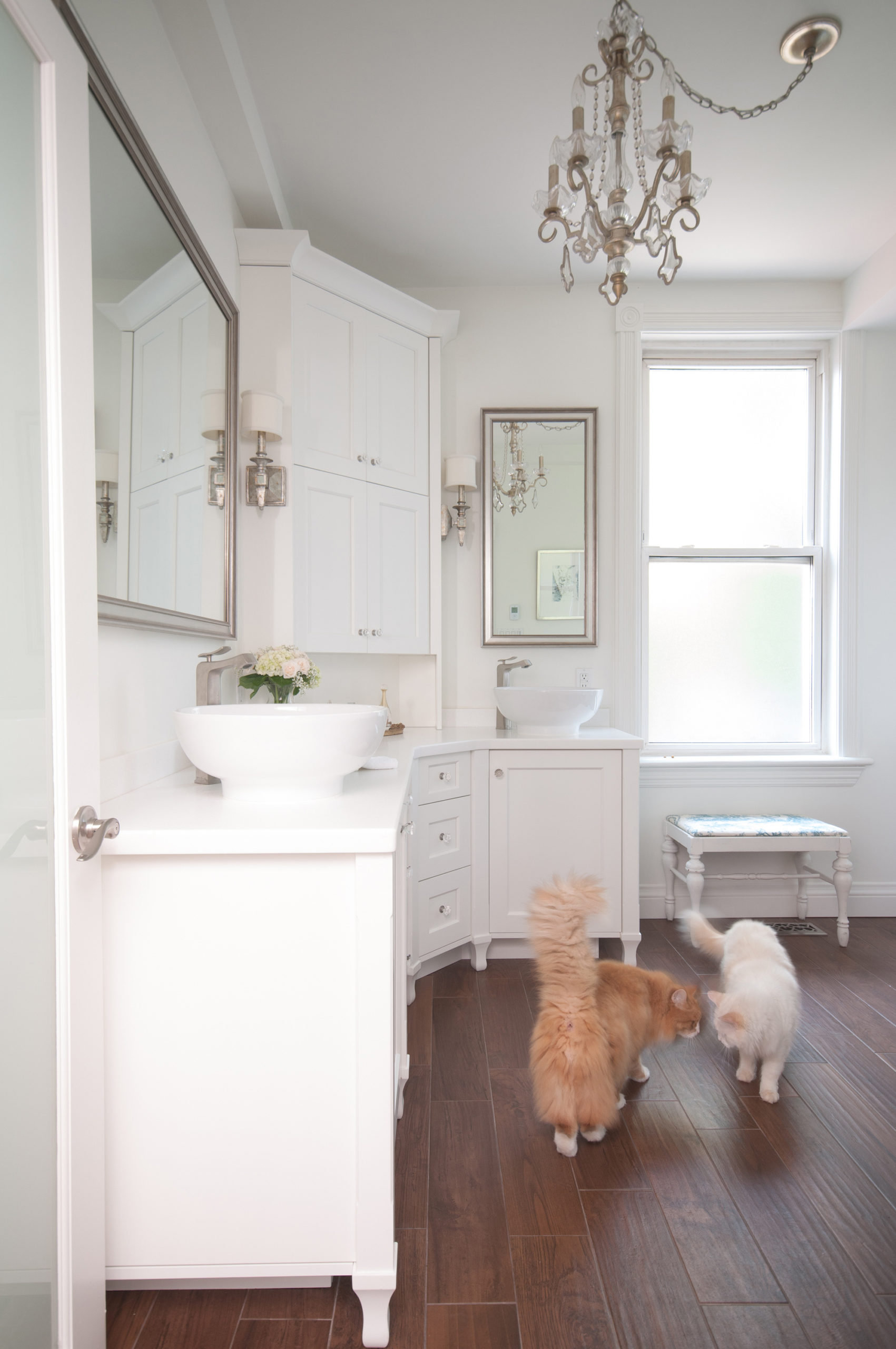 White Traditional Bathroom Design With Dark Hard Wood Floorings And Orange And White Cats