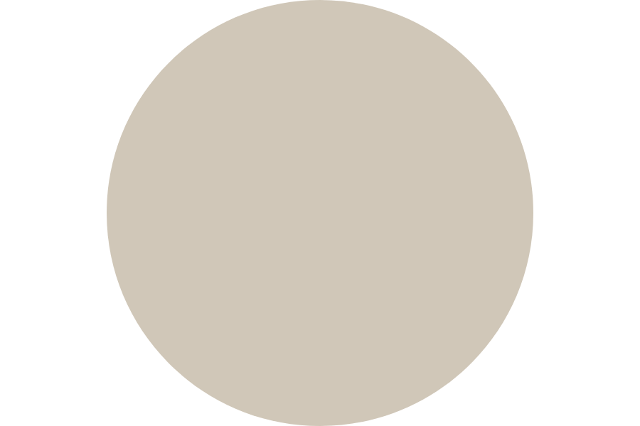 Accessible Beige by Sherwin Williams