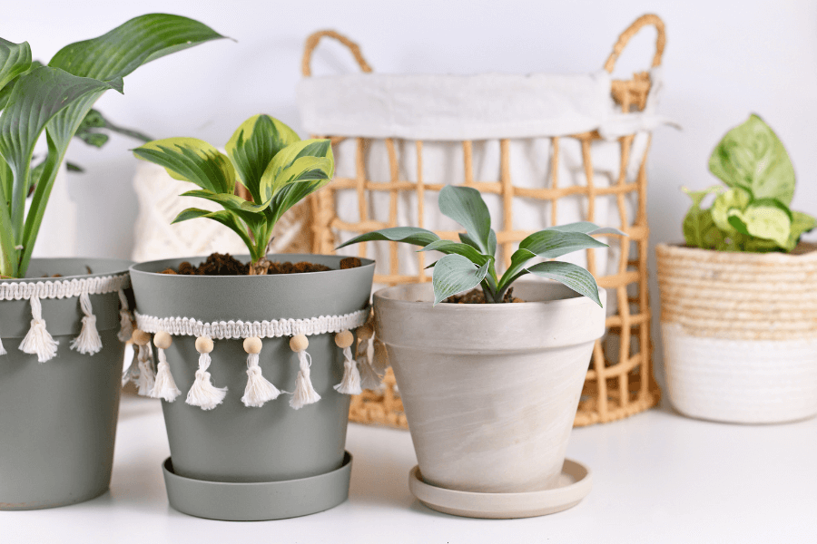 plant pots, tassels