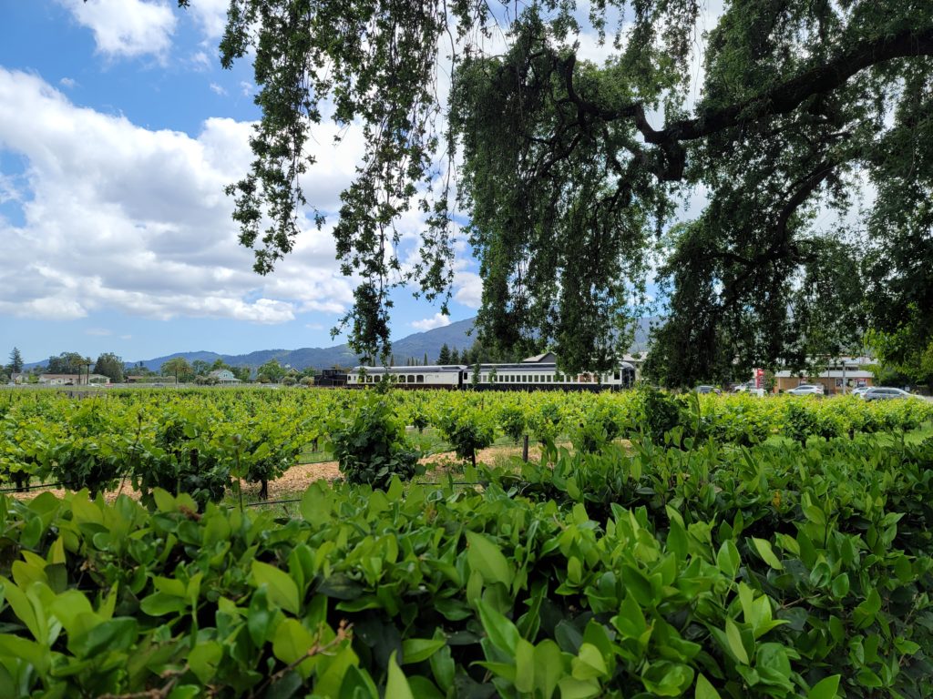 Napavalleywinetrain