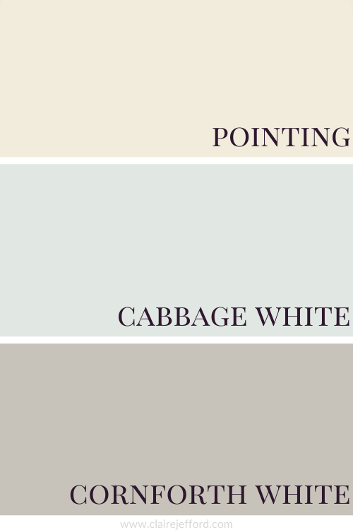 Pointing Cabbage White Cornforth White Blog Graphic 500 X 750 1