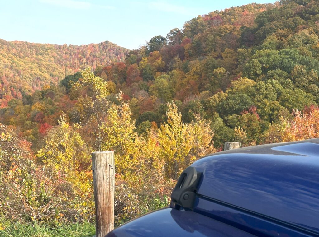 Highpoint Fall Colours Leaves 1