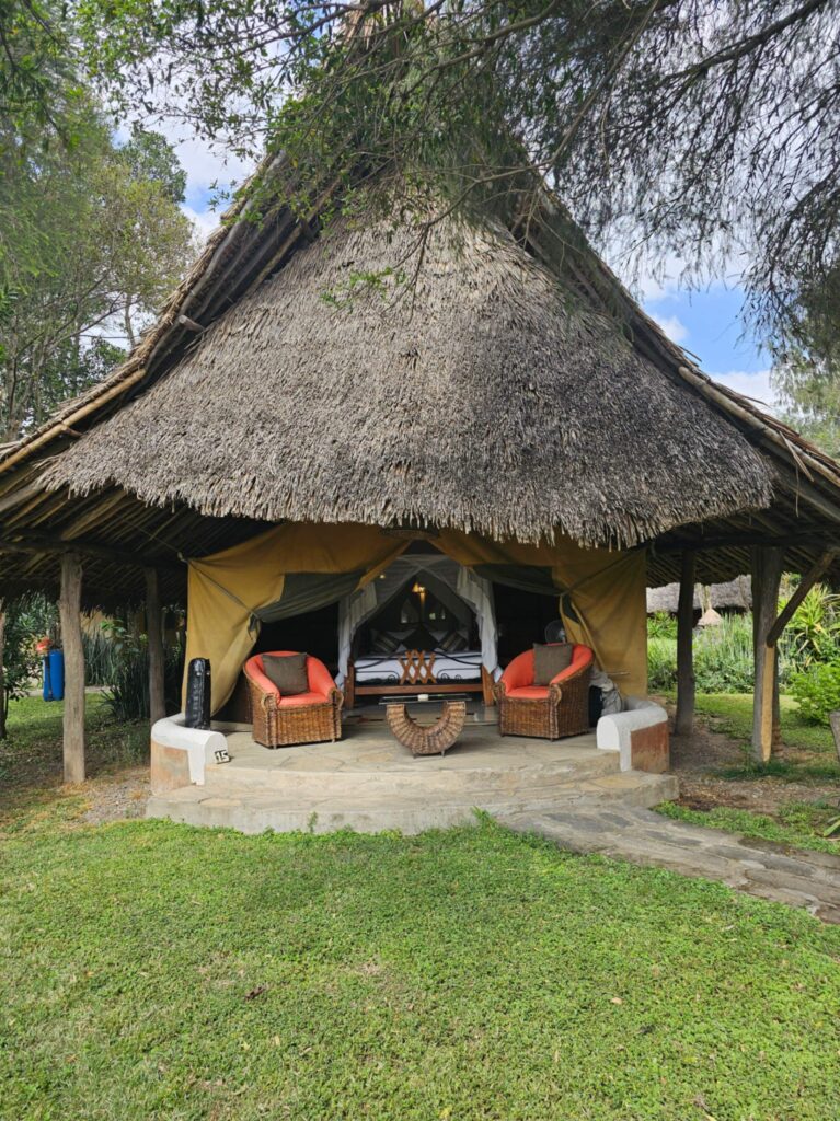 Flamingo Camp Lake Nakuru Kenya