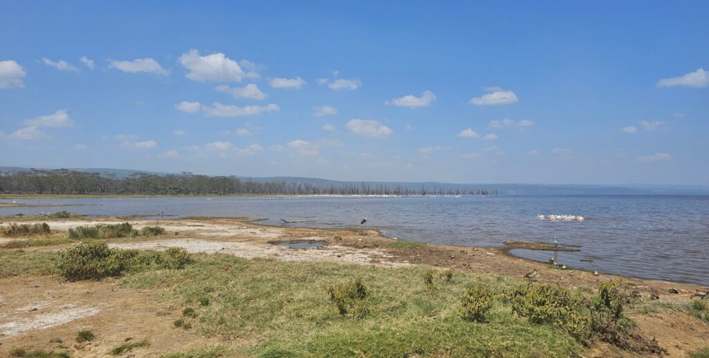 Lake Nakuru Kenya Africa