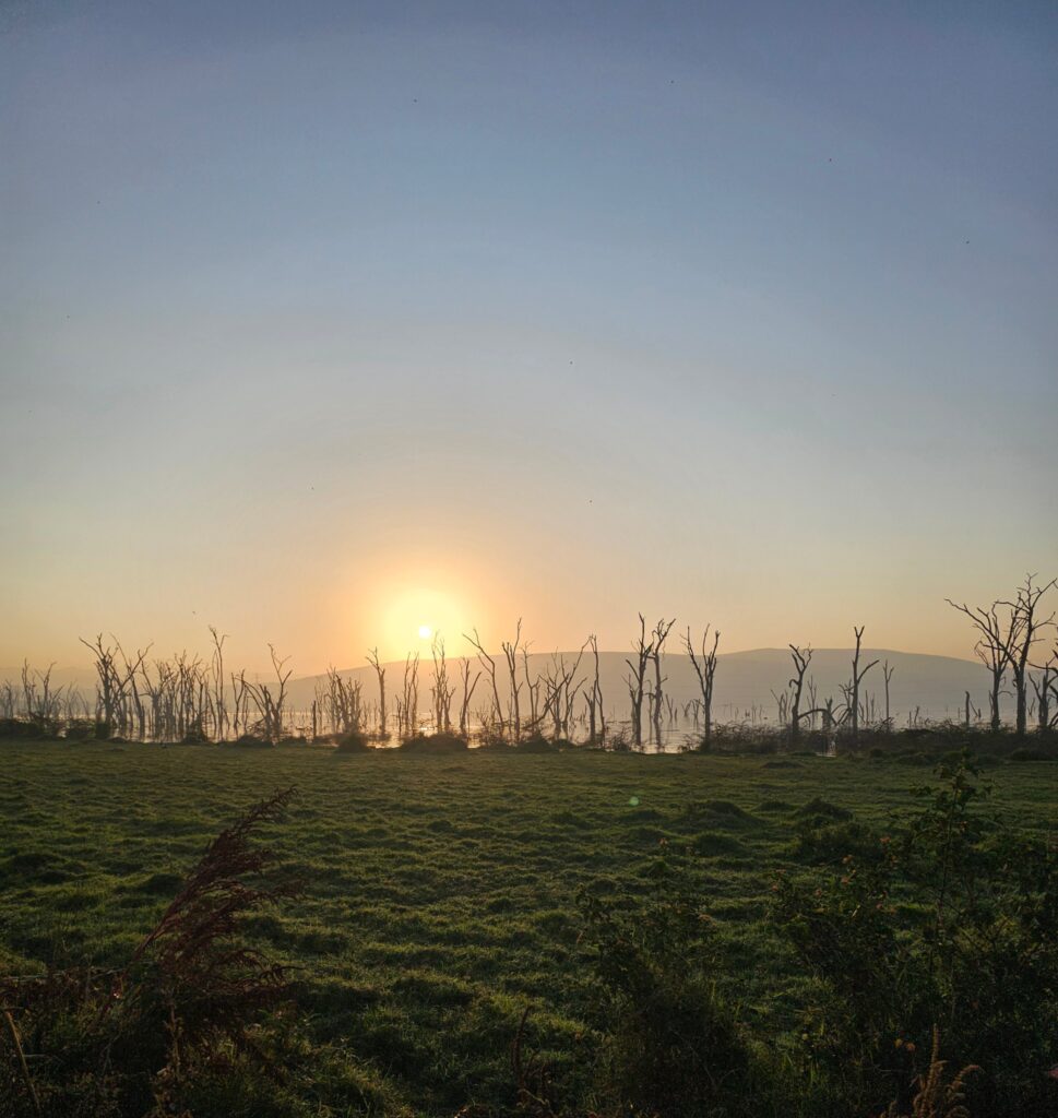 Sunrise Lake Nakuru Kenya Africa